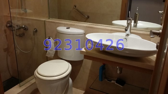 Icon (D2), Apartment #53572152